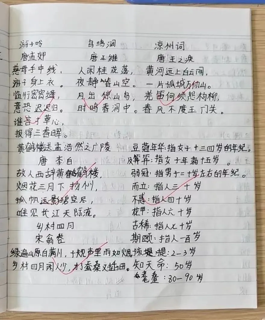 篮球训练脚步垫子_1
